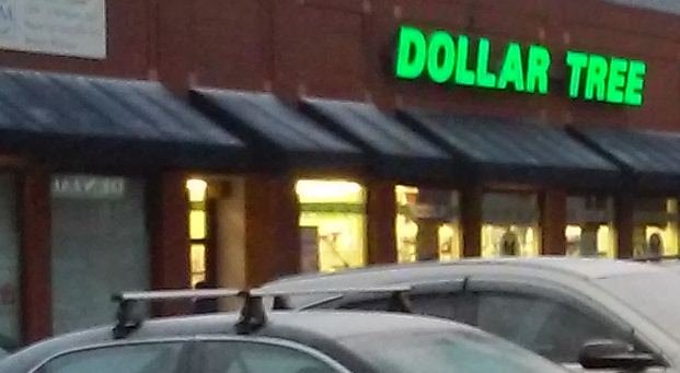 Dollar Tree Store